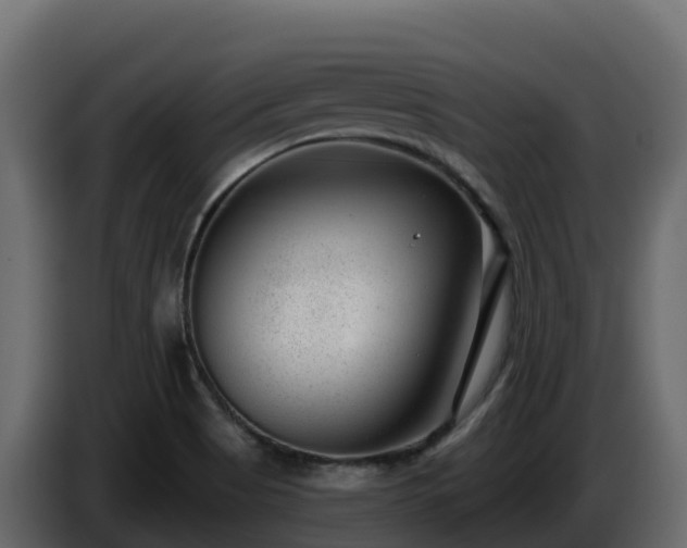 X0000085801513200703231318
