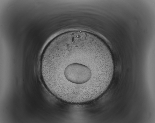 X0000085801514200703231318