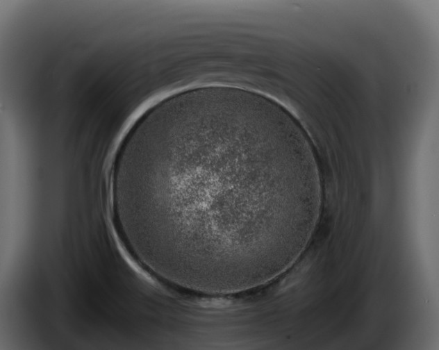 X0000085801515200703231318