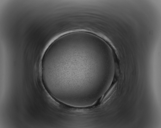 X0000085801516200703231318