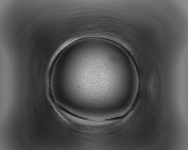 X0000085801517200703231318