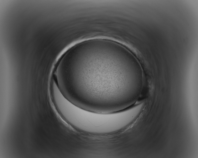 X0000085801518200703231318