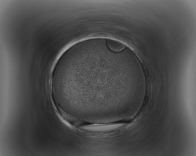 X0000085801519200703231318