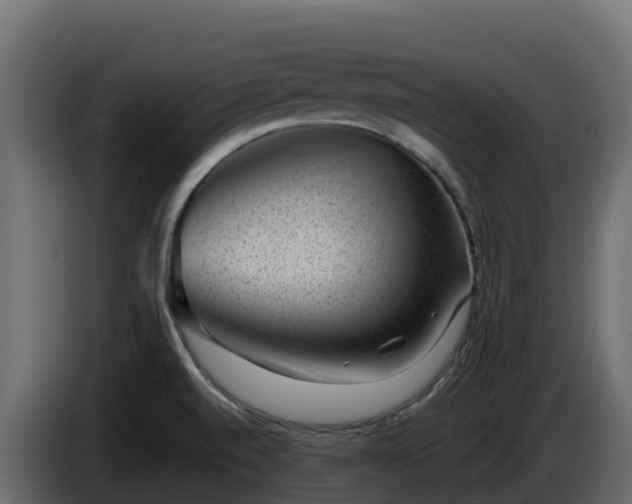 X0000085801520200703231318