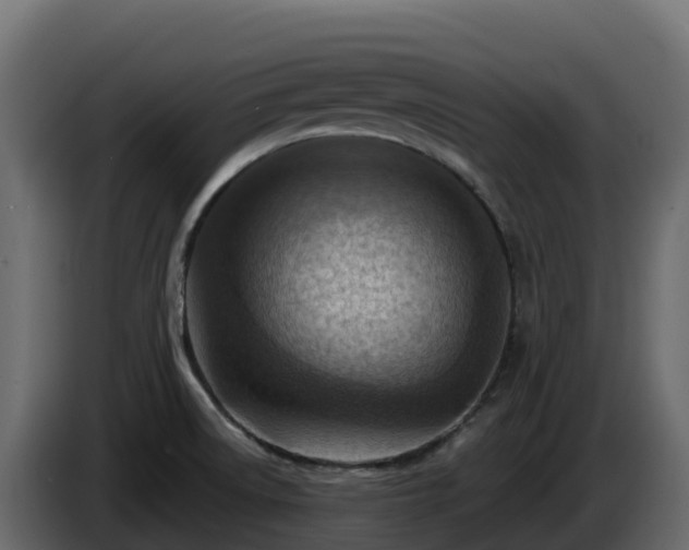 X0000085801522200703231318