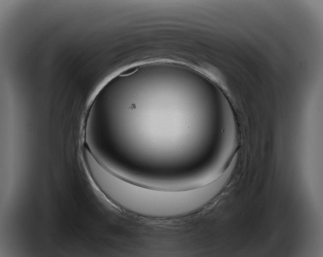 X0000085801524200703231319