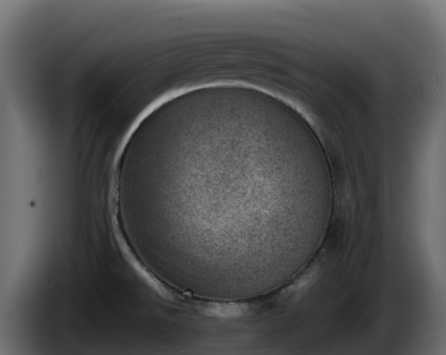 X0000085801526200703231319