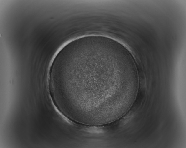X0000085801527200703231319
