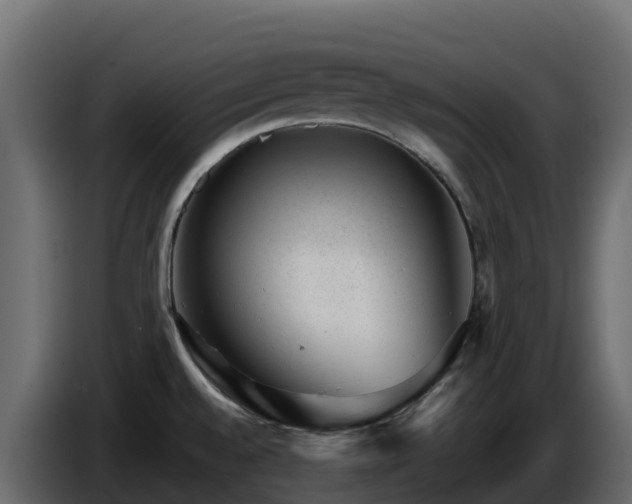 X0000085801528200703231319