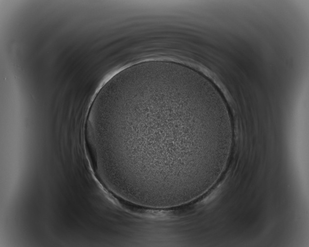 X0000085801529200703231319