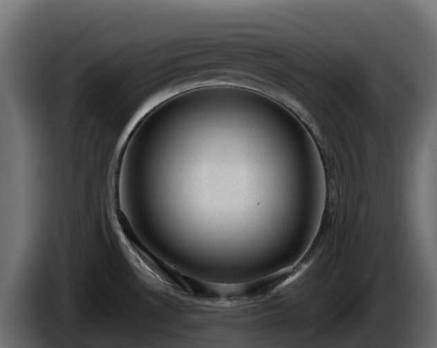 X0000085801530200703231319