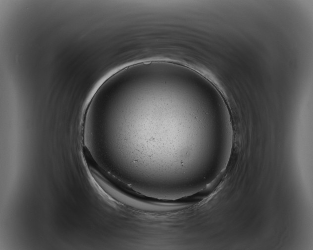 X0000085801532200703231319