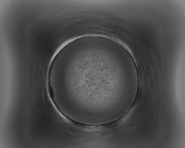 X0000085801533200703231319