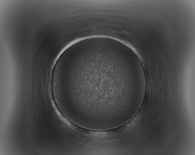 X0000085801534200703231319