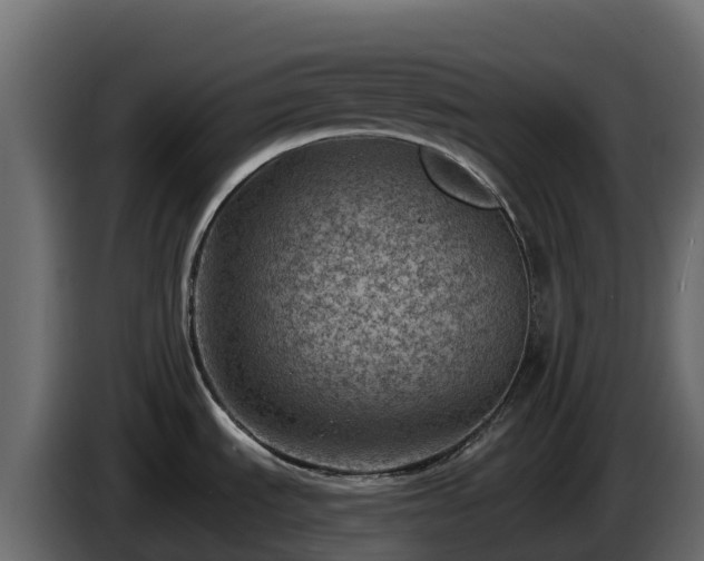 X0000085801535200703231319