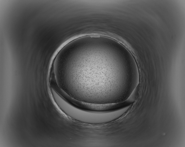 X0000085801536200703231319