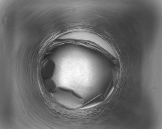 X0000085800001200703301510