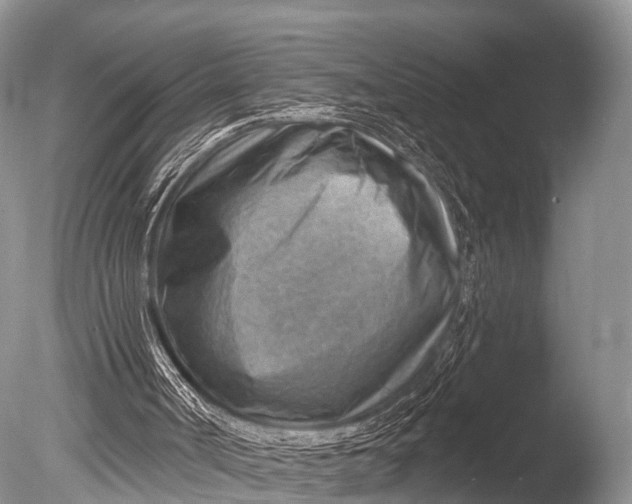 X0000085800002200703301510