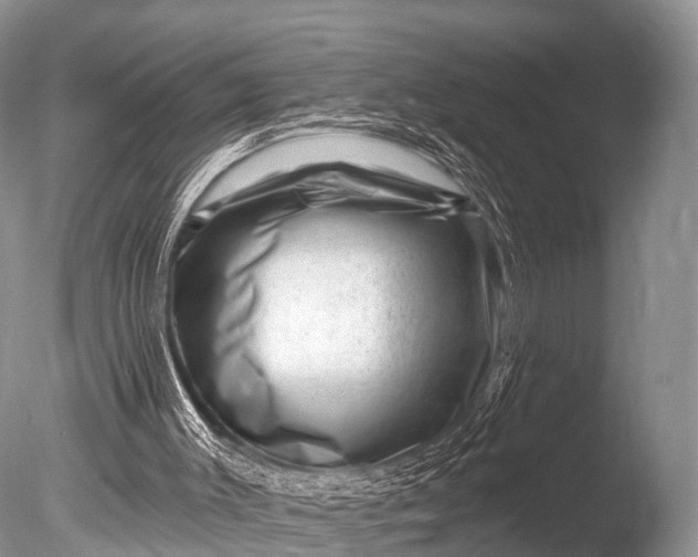 X0000085800003200703301510