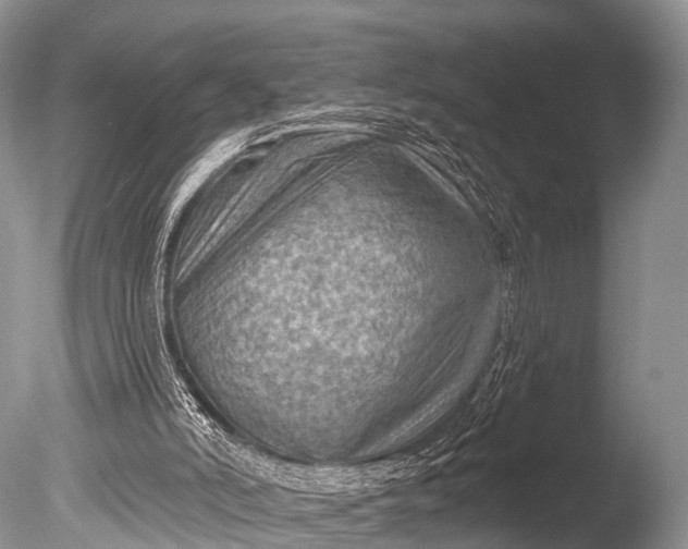 X0000085800006200703301510