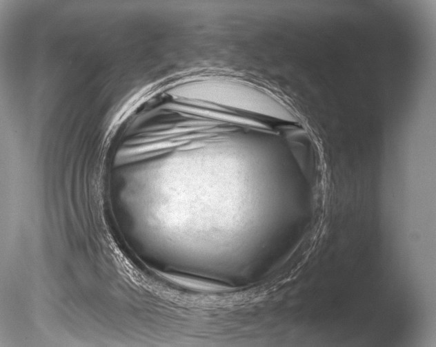 X0000085800007200703301510