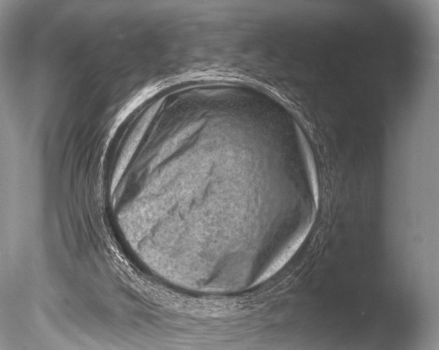 X0000085800008200703301510