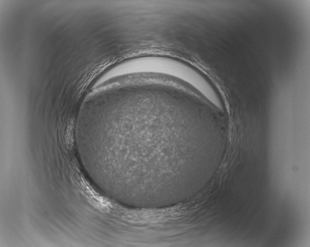 X0000085800009200703301510