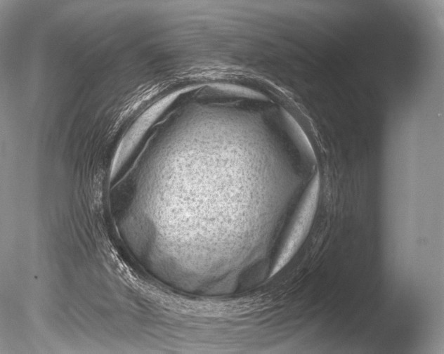 X0000085800010200703301510