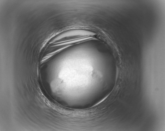 X0000085800011200703301510