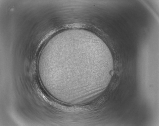 X0000085800012200703301510