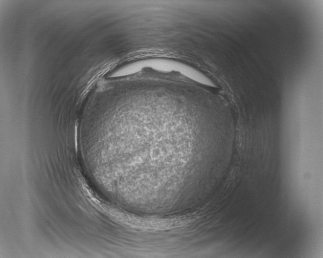 X0000085800014200703301510