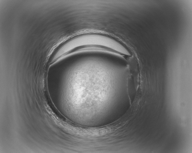 X0000085800015200703301510