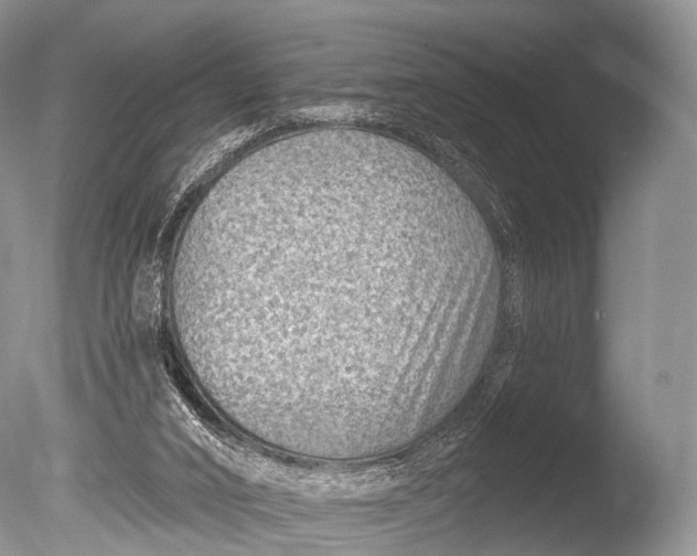 X0000085800016200703301510