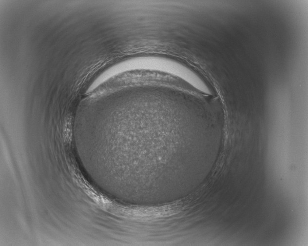 X0000085800017200703301510