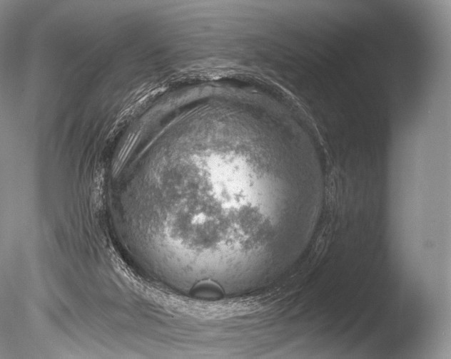 X0000085800018200703301510