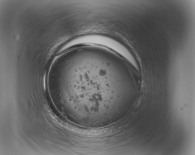 X0000085800019200703301510