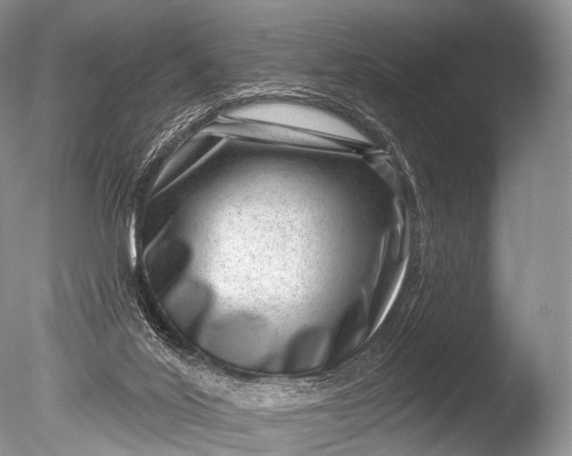 X0000085800020200703301510