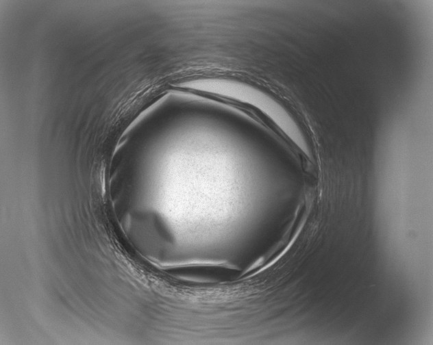 X0000085800021200703301510