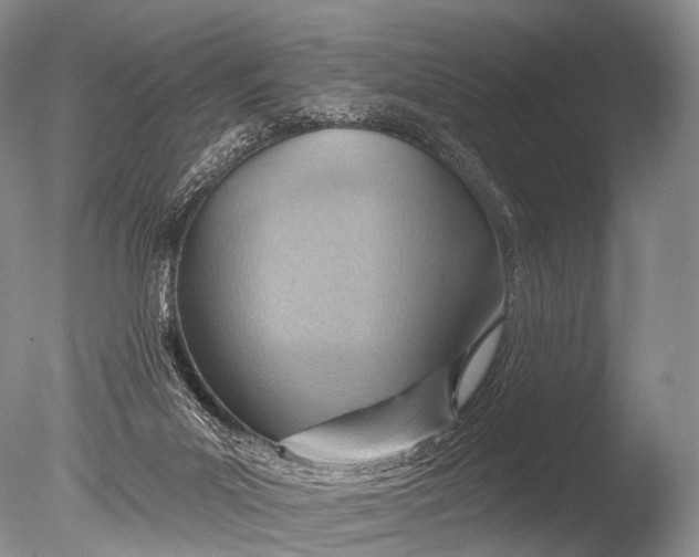 X0000085800023200703301510