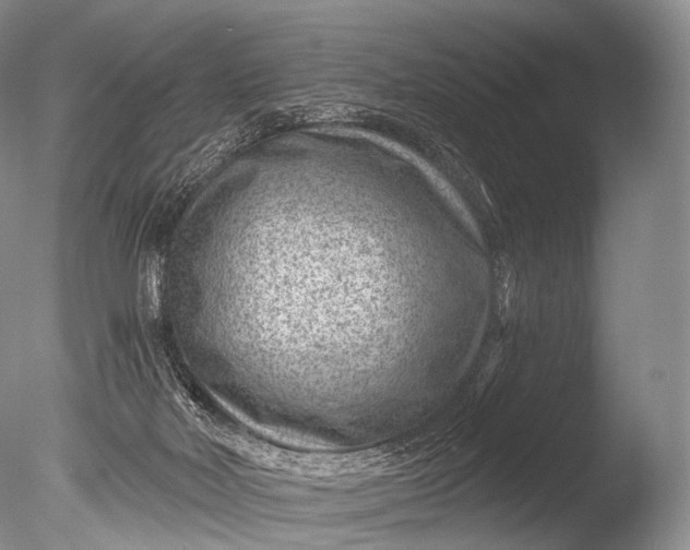 X0000085800026200703301510