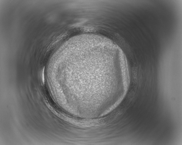 X0000085800028200703301510