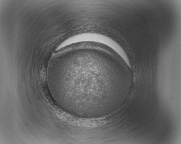 X0000085800029200703301510