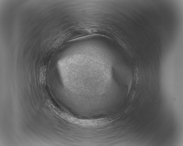 X0000085800030200703301510