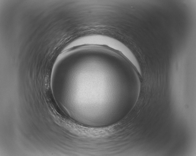 X0000085800031200703301510