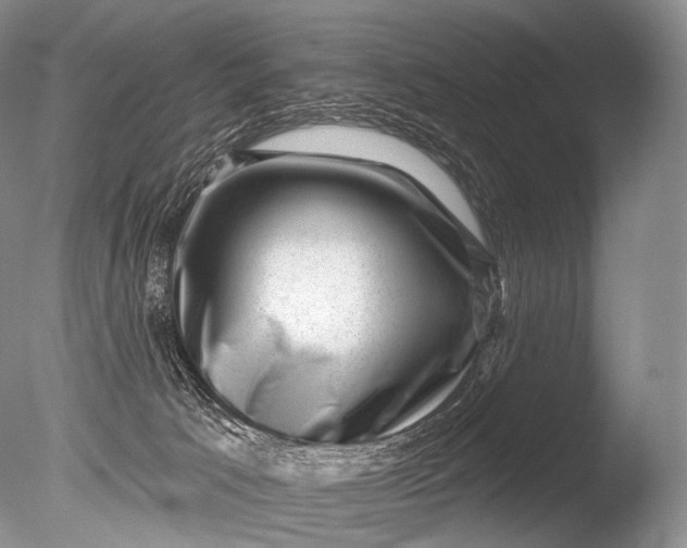 X0000085800033200703301510