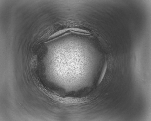 X0000085800034200703301510