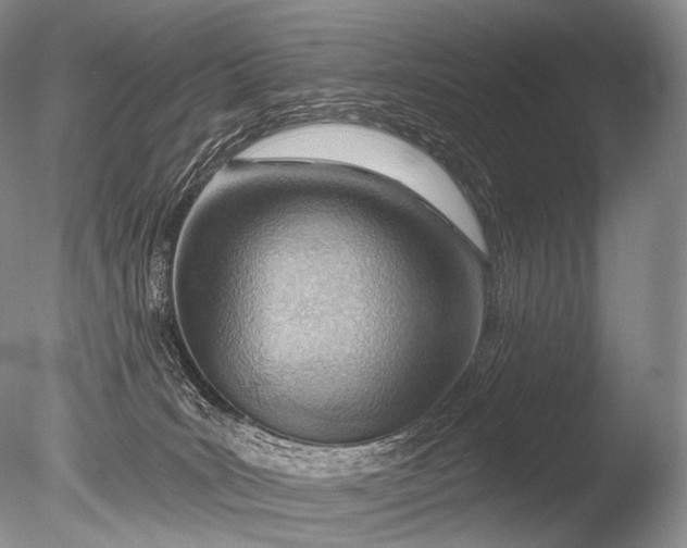 X0000085800035200703301510