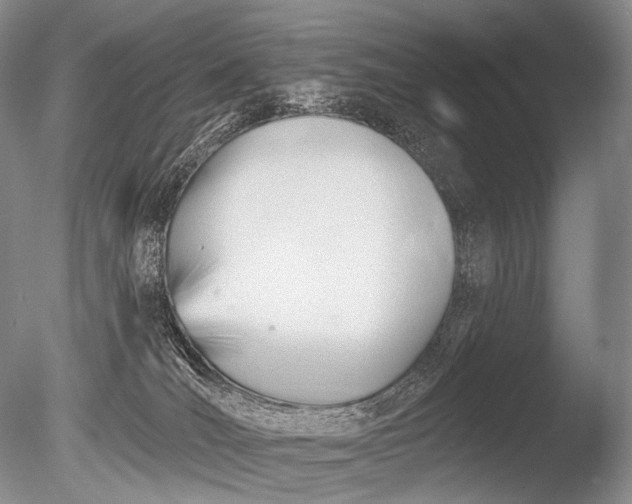 X0000085800036200703301510