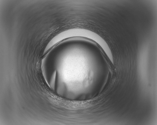 X0000085800037200703301510