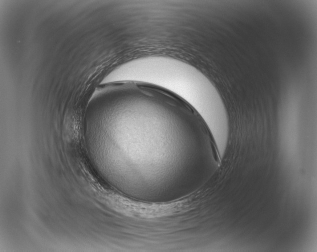 X0000085800039200703301510